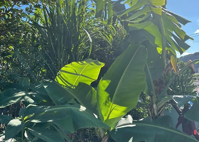 Apartment Sea & Mountain View In