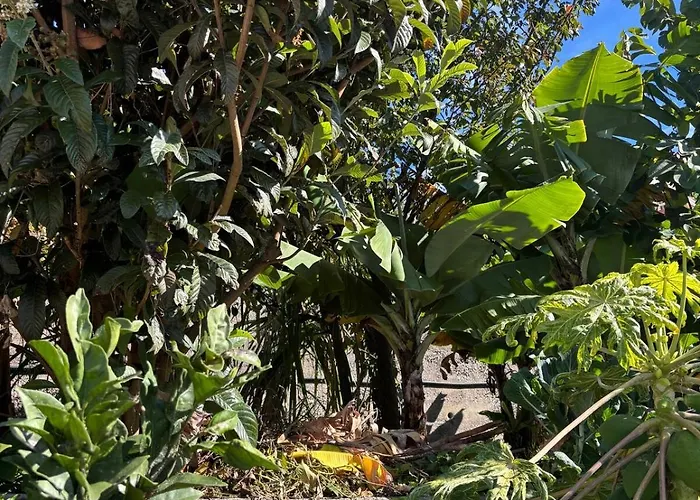 Sea & Mountain View In *